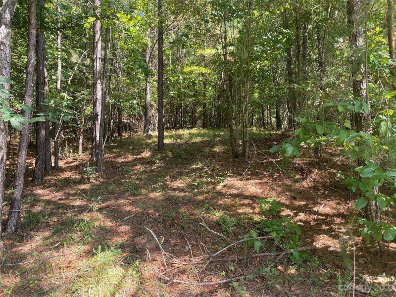 Property image 2 of 153 Chimney Creek Lane in Clearwater Creek, Rutherfordton, NC 28139