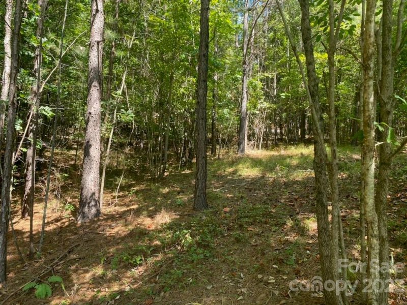 Property image 3 of 153 Chimney Creek Lane in Clearwater Creek, Rutherfordton, NC 28139