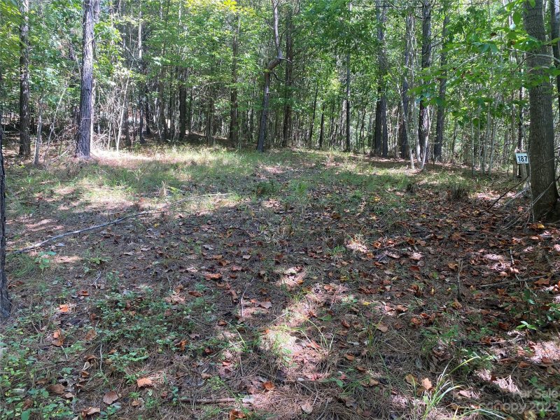 Property image 4 of 153 Chimney Creek Lane in Clearwater Creek, Rutherfordton, NC 28139