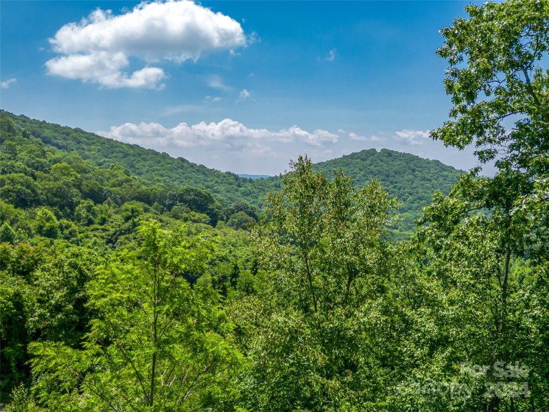 Property image 5 at 320 Autumn Ridge Lane, Hendersonville, NC 28792