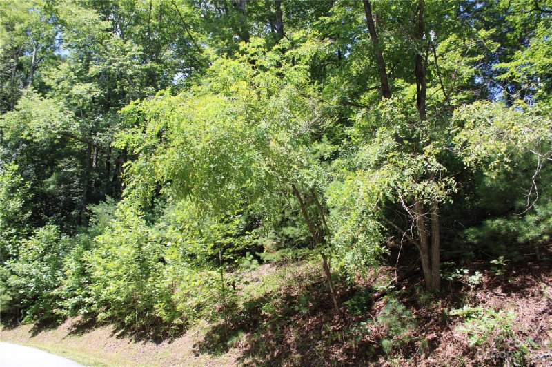Property image 3 at Lot 85r Mountain Home Trail, Brevard, NC 28712