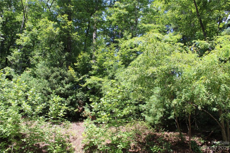 Property image 4 at Lot 85r Mountain Home Trail, Brevard, NC 28712