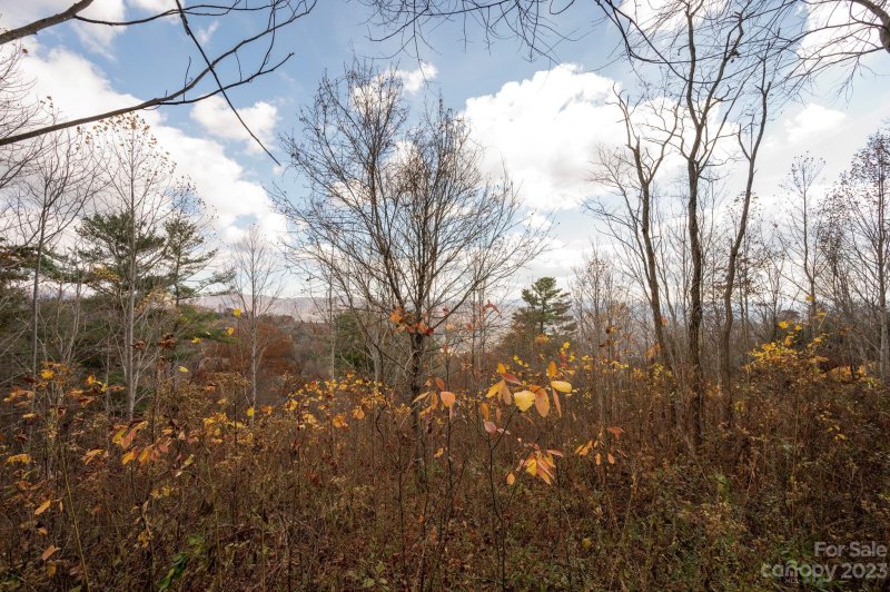 Property image 5 at 167 Summit Tower Circle, Asheville, NC 28804