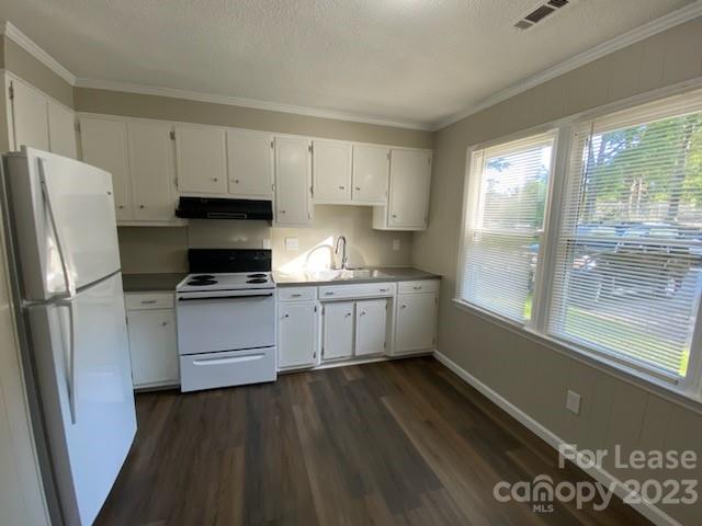 Property image 4 at 613 Linden Street, Lincolnton, NC 28092