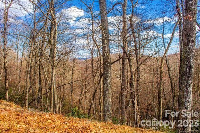 Property image 2 at 9 Laurel Cottage Lane, Black Mountain, NC 28711