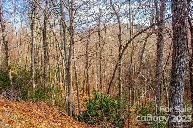 Property image 3 at 9 Laurel Cottage Lane, Black Mountain, NC 28711