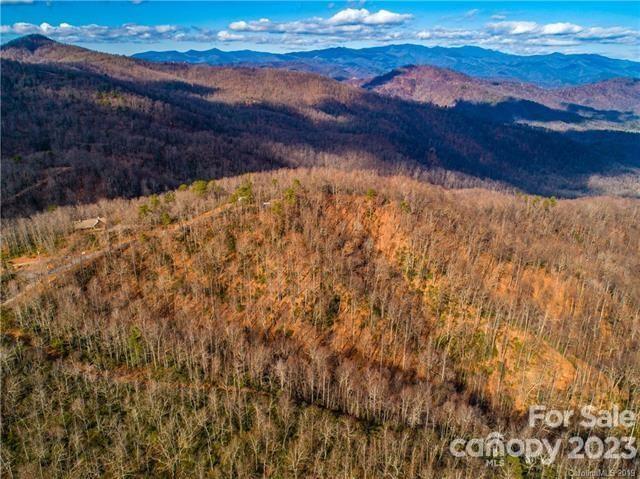 Property image 4 at 9 Laurel Cottage Lane, Black Mountain, NC 28711