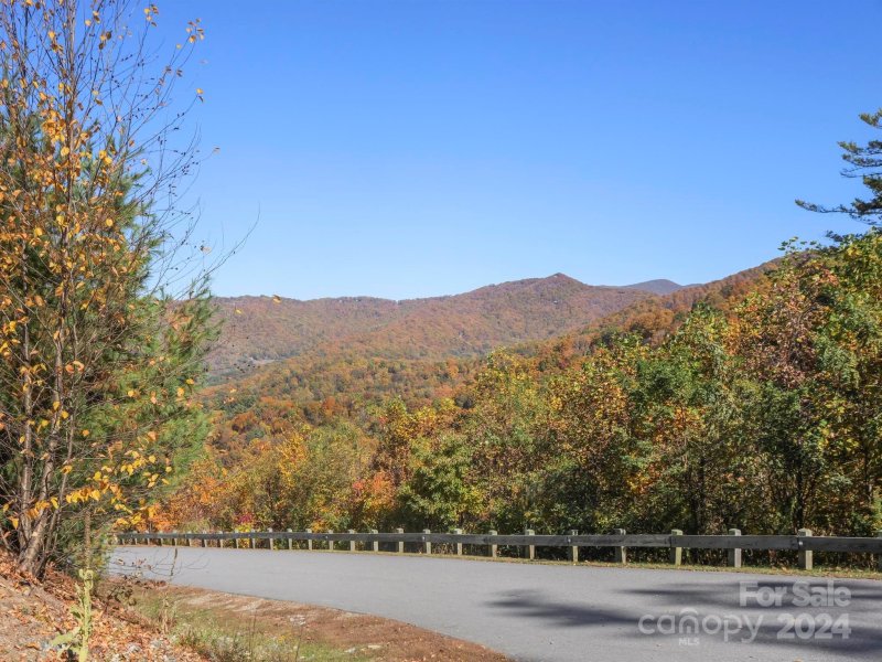 Property image 4 of 78 Woodland Aster Way in Town Mountain Preserve, Asheville, NC 28804