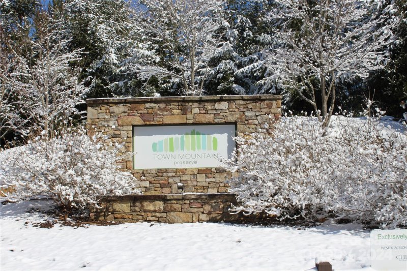 Property image 5 of 78 Woodland Aster Way in Town Mountain Preserve, Asheville, NC 28804