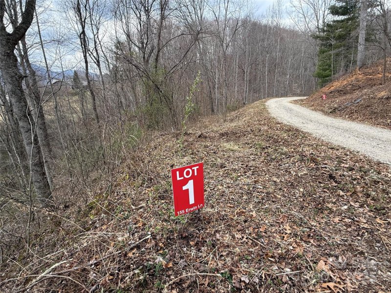 Property image 5 of 155 Erwin Lane in Moose Creek, Waynesville, NC 28785