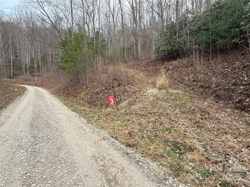 Property image 5 of 220 Erwin Lane in Moose Creek, Waynesville, NC 28785