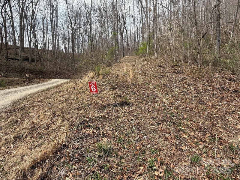 Property image 5 of 274 Erwin Lane in Moose Creek, Waynesville, NC 28785