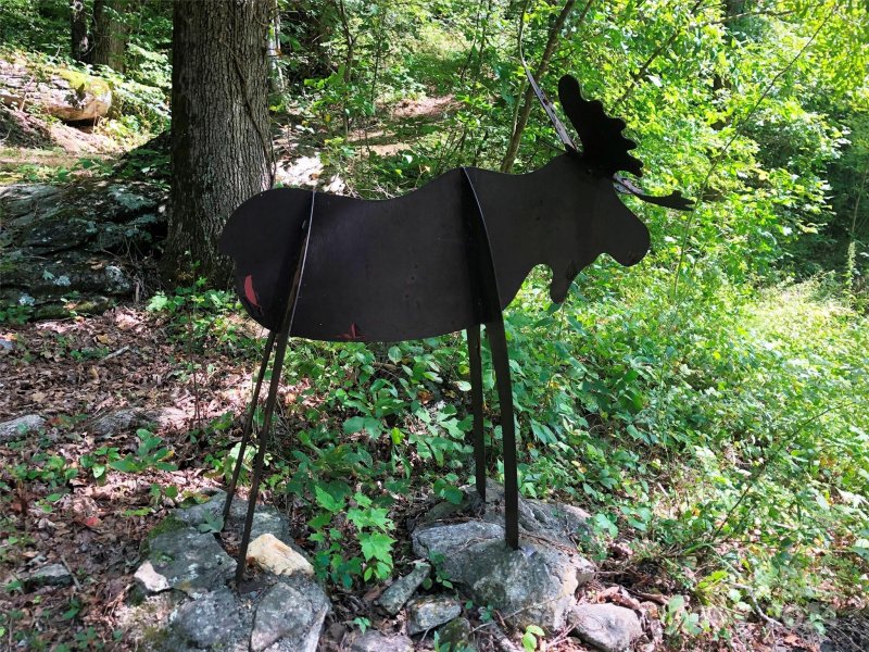 Property image 3 of 282 Erwin Lane in Moose Creek, Waynesville, NC 28785