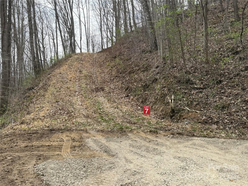 Property image 5 of 305 Erwin Lane in Moose Creek, Waynesville, NC 28785