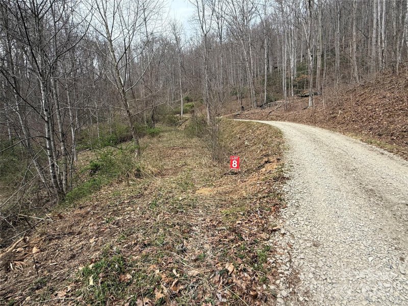 Property image 5 of 235 Erwin Lane in Moose Creek, Waynesville, NC 28785