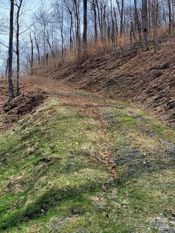 Property image 5 at 00 Mountain Gait Drive, Mars Hill, NC 28754