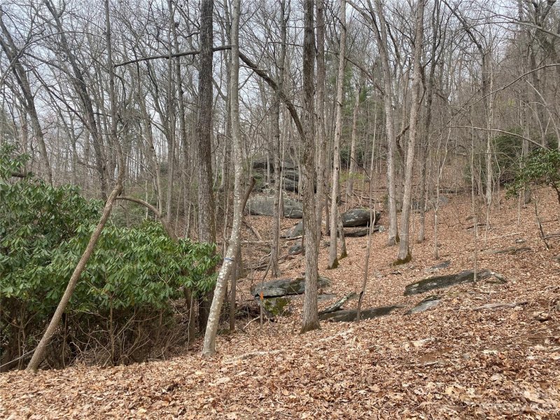 Property image 2 at Lot W13 Curtain Bluff, Hendersonville, NC 28791