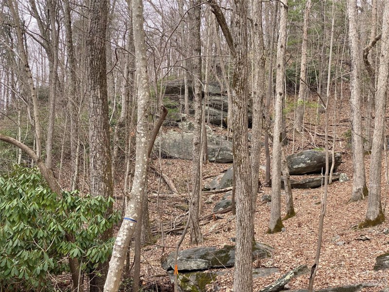 Property image 3 at Lot W13 Curtain Bluff, Hendersonville, NC 28791