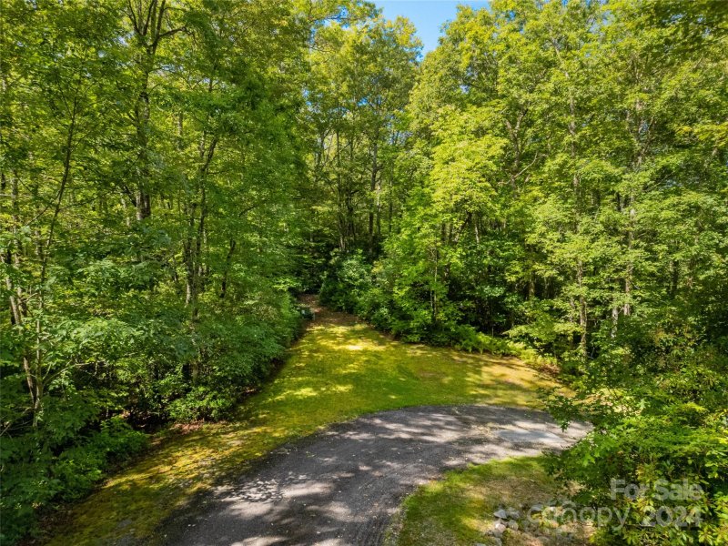 Property image 2 at L 22 Barts Branch Drive, Balsam Grove, NC 28708