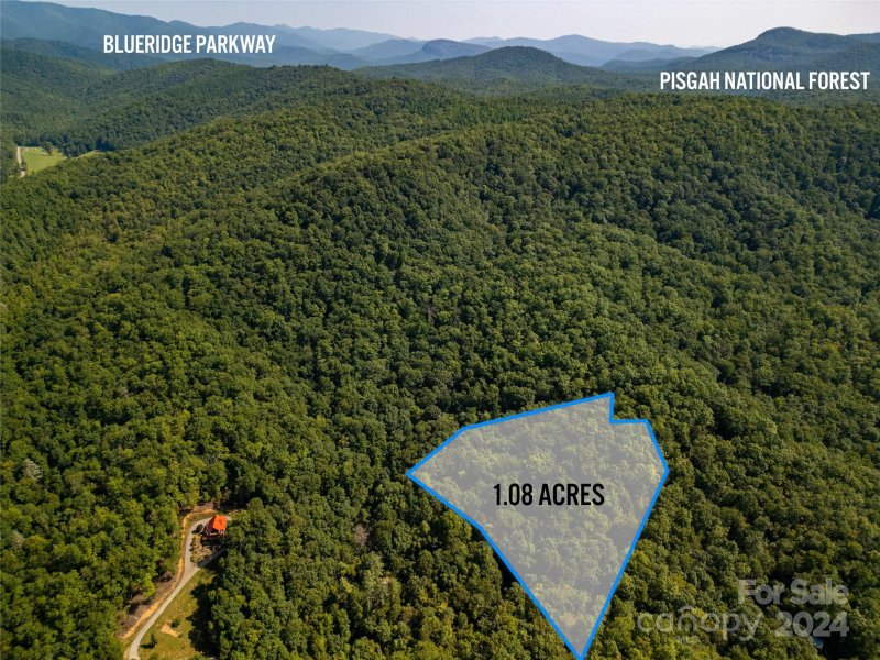 Property image 3 at L 22 Barts Branch Drive, Balsam Grove, NC 28708