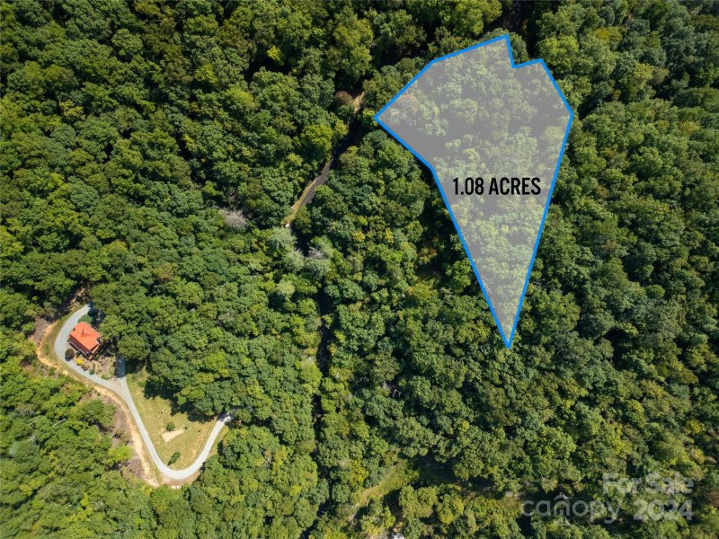 Property image 4 at L 22 Barts Branch Drive, Balsam Grove, NC 28708