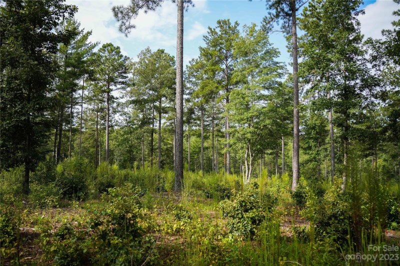 Property image 4 at 2083 Jumping Run, Connelly Springs, NC 28612