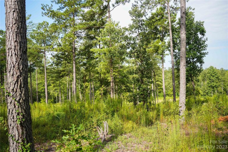 Property image 5 at 2083 Jumping Run, Connelly Springs, NC 28612