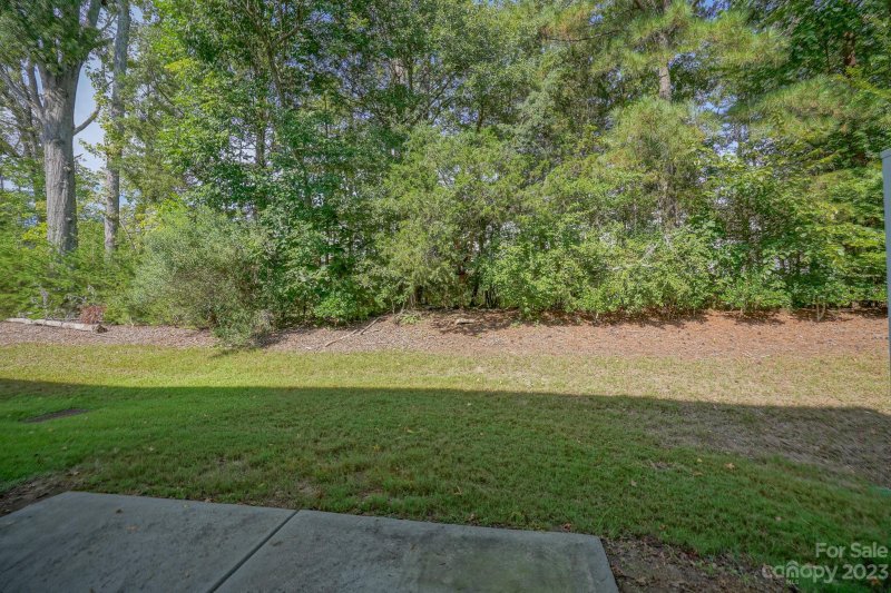 Property image 3 at 14033 Singleleaf Lane, Charlotte, NC 28278