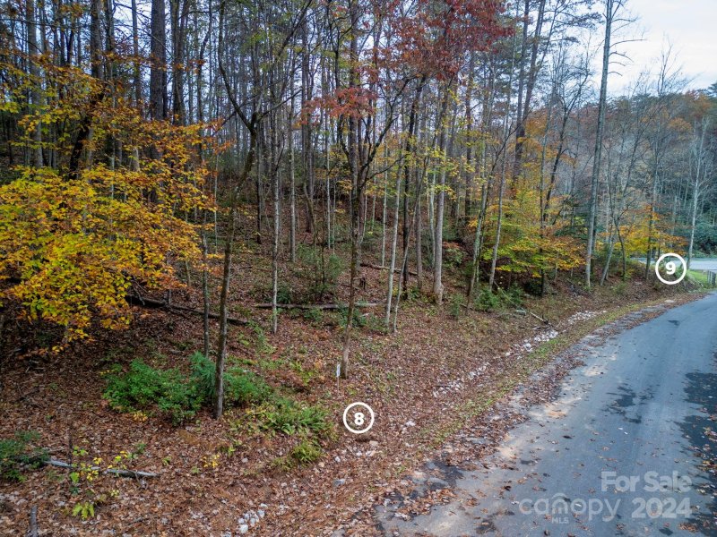 Property image 5 at 64 Cherry Cove Way, Old Fort, NC 28762