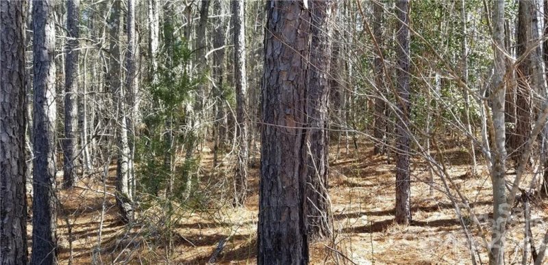 Property image 4 at 199 Windingwood Drive, Statesville, NC 28677