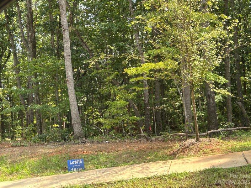 Property image 2 at 0000 Brancer Lane, Lincolnton, NC 28092