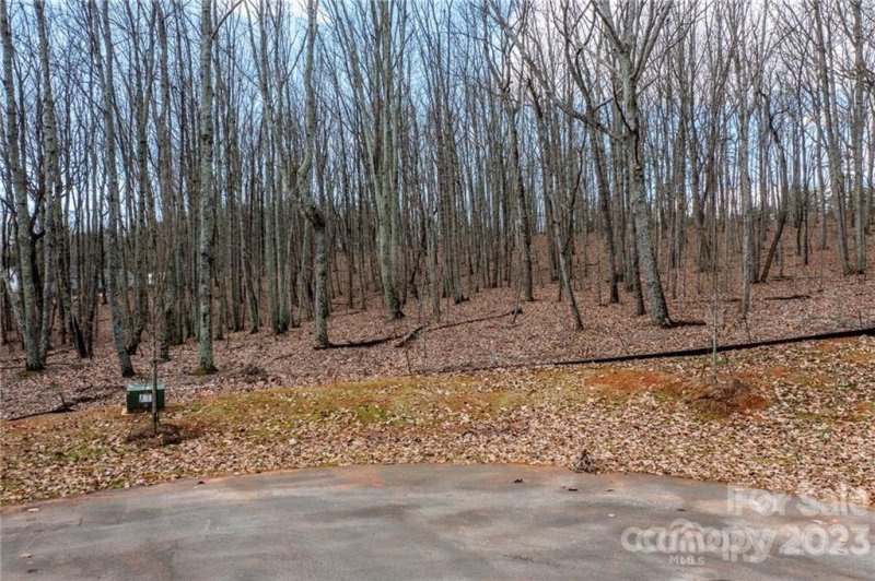 Property image 2 at 0000 Brancer Lane, Lincolnton, NC 28092