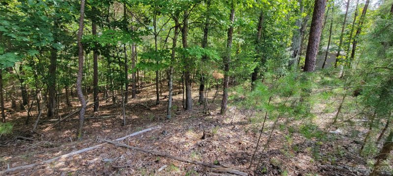 17307 Green Hill Road