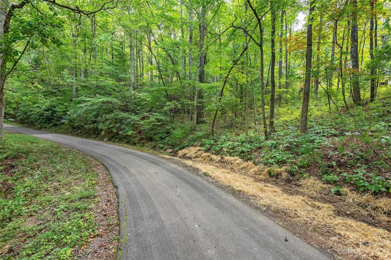 Property image 3 at 121 And 119 Deer Run Lane, Asheville, NC 28805