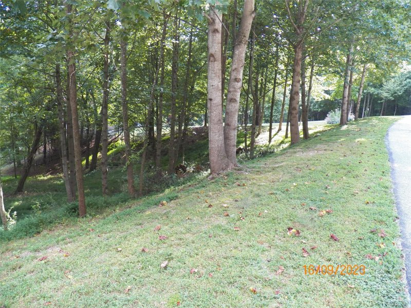 Property image 4 of 270 Somersby Parkway in Somersby Park, Laurel Park, NC 28739