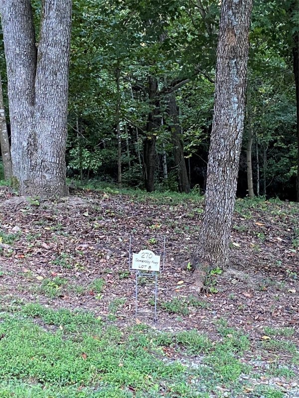 Property image 5 of 270 Somersby Parkway in Somersby Park, Laurel Park, NC 28739