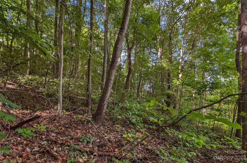 Property image 3 at 0000 Arcadia Falls Way, Black Mountain, NC 28711