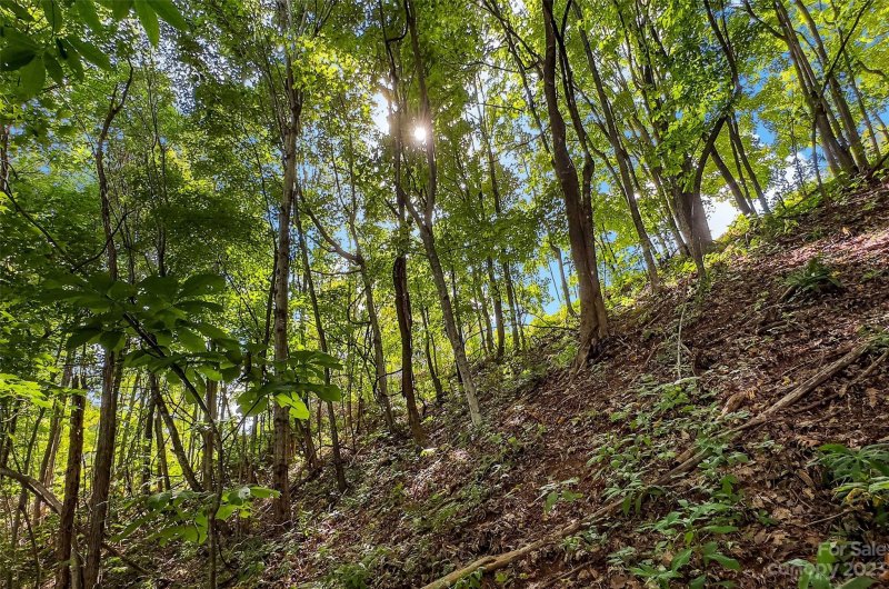 Property image 4 at 0000 Arcadia Falls Way, Black Mountain, NC 28711