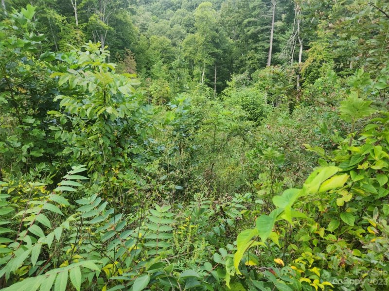 Property image 3 of 7 Bent Branch Lane in Ventana, Asheville, NC 28804