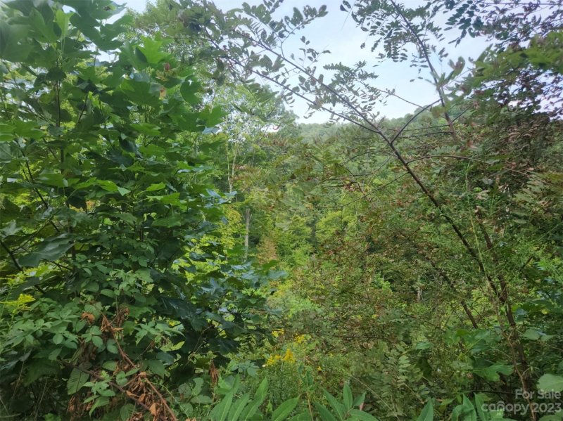 Property image 4 of 7 Bent Branch Lane in Ventana, Asheville, NC 28804