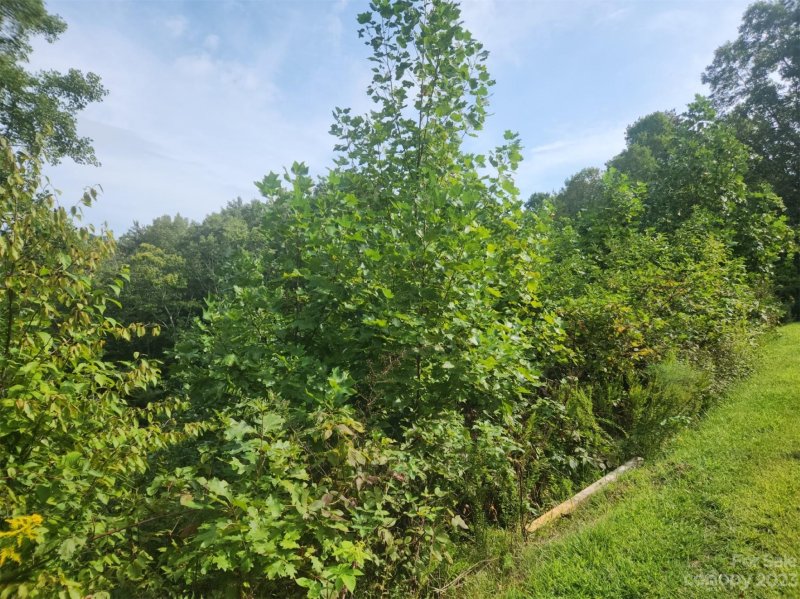 Property image 5 of 7 Bent Branch Lane in Ventana, Asheville, NC 28804