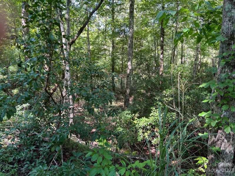 Property image 2 at 0 Bald Hill Court, Lake Lure, NC 28746