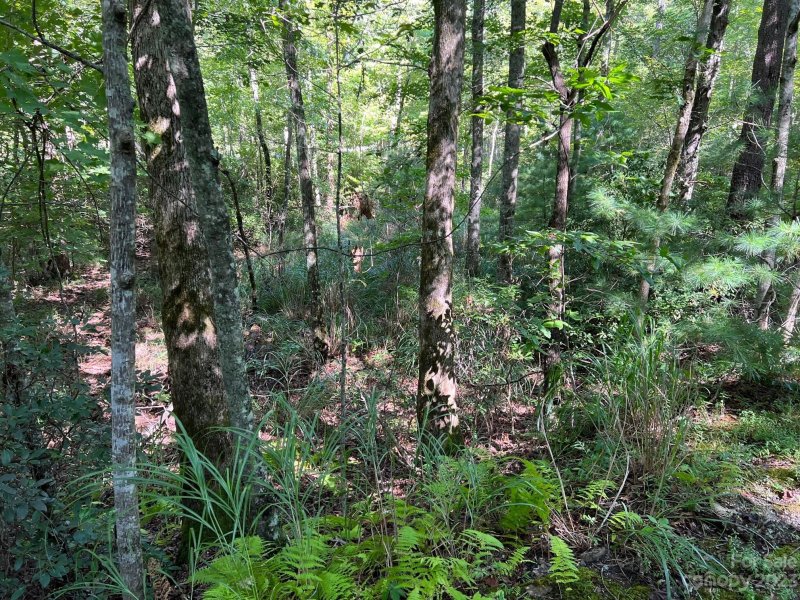 Property image 3 at 0 Bald Hill Court, Lake Lure, NC 28746