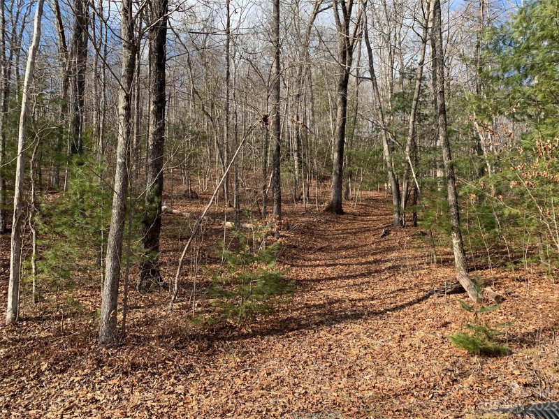 Property image 2 of 91 Laurel Thicket Lane in Big Hill, Brevard, NC 28712