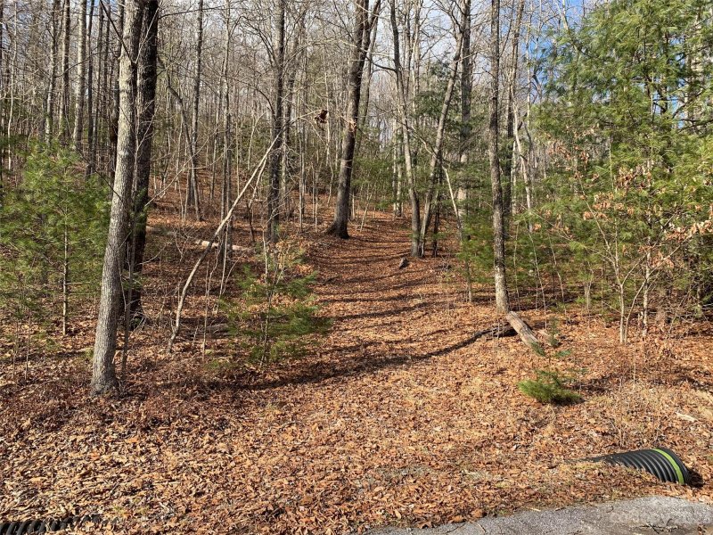 Property image 4 of 91 Laurel Thicket Lane in Big Hill, Brevard, NC 28712