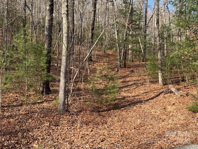 Property image 2 at 124 Green Hollow Lane, Brevard, NC 28712