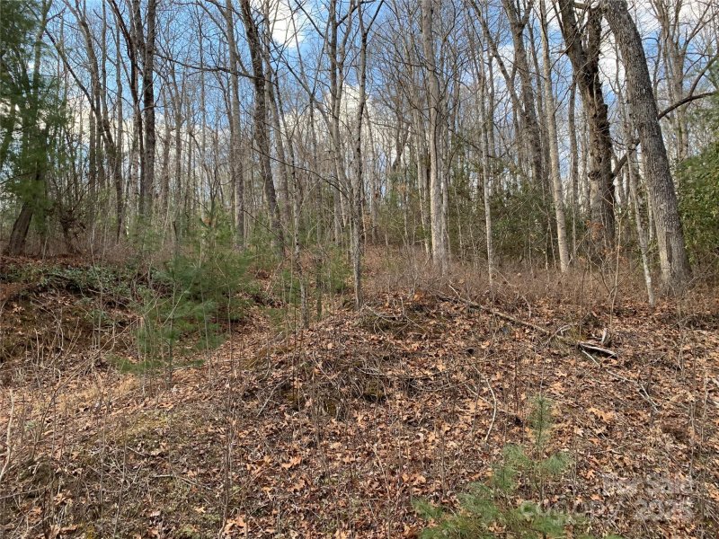 Property image 3 at 124 Green Hollow Lane, Brevard, NC 28712