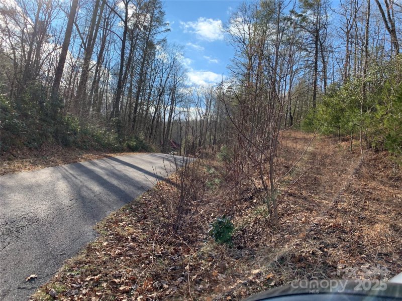 Property image 4 at 124 Green Hollow Lane, Brevard, NC 28712