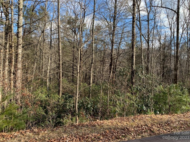 Property image 2 of 126 Green Hollow Lane in Big Hill, Brevard, NC 28712