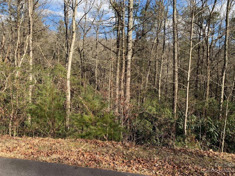 Property image 3 of 126 Green Hollow Lane in Big Hill, Brevard, NC 28712